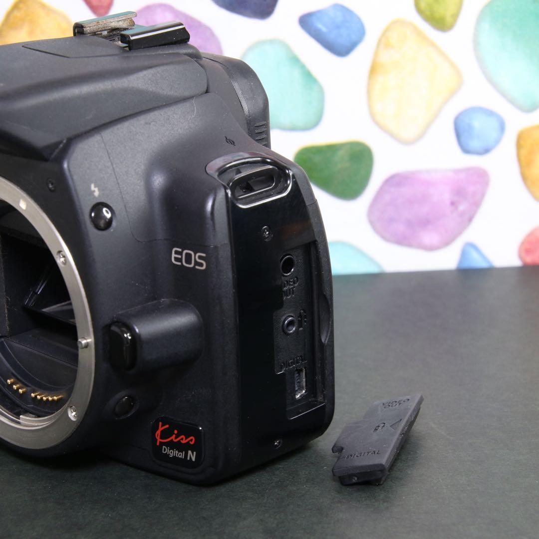 ♥︎◇迷ったらこのカメラ♪ ◇近くも遠くもOKです♪ ◇Canon KISS N