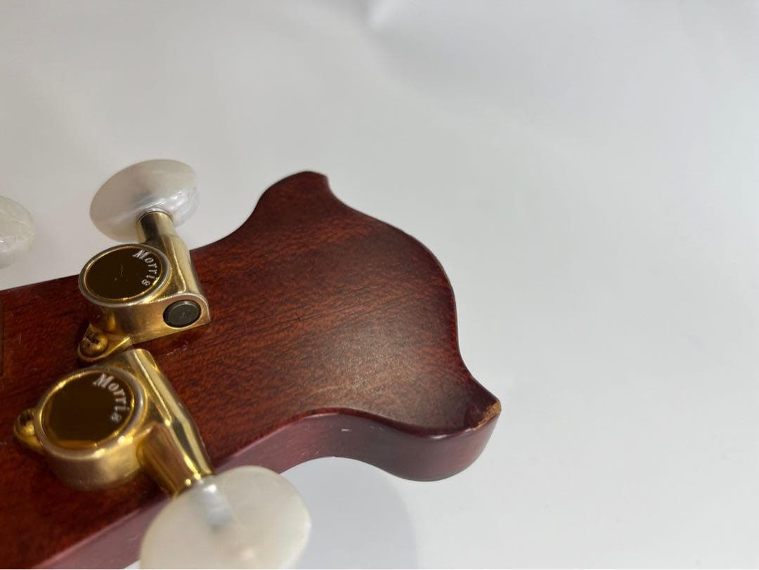 Morris tornado z2-HG エレアコ アコースティックギターアコギ