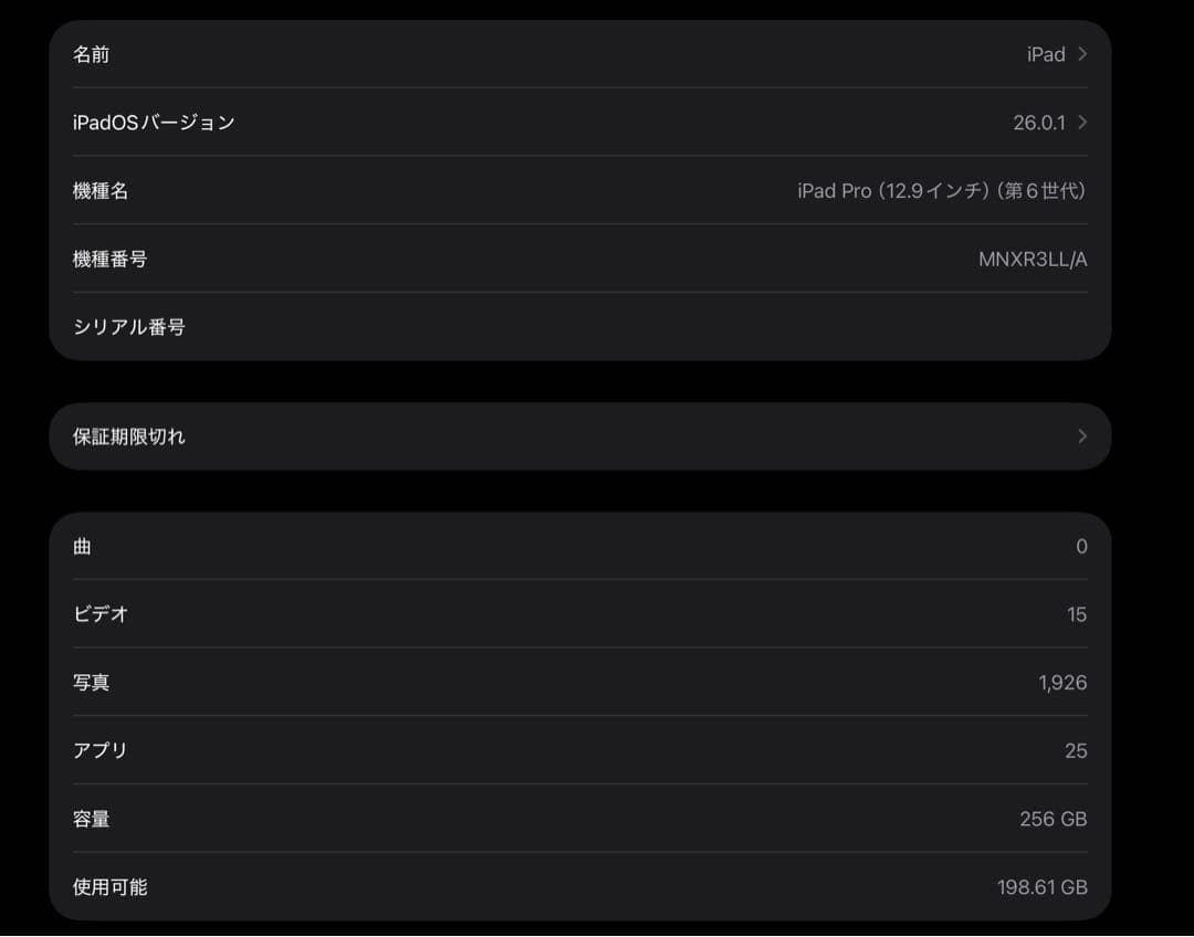 iPad Pro 12.9インチ　第6世代　256GB
