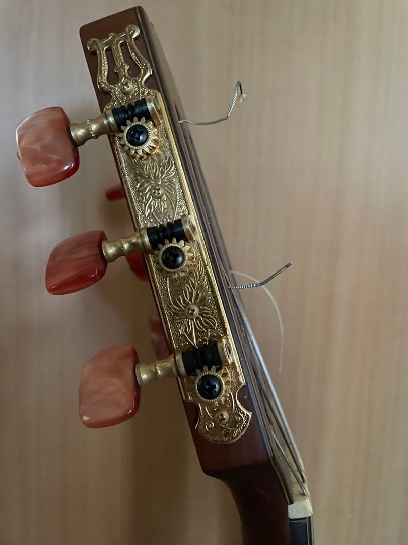 S*X様 Takamine EN-30C エレアコ