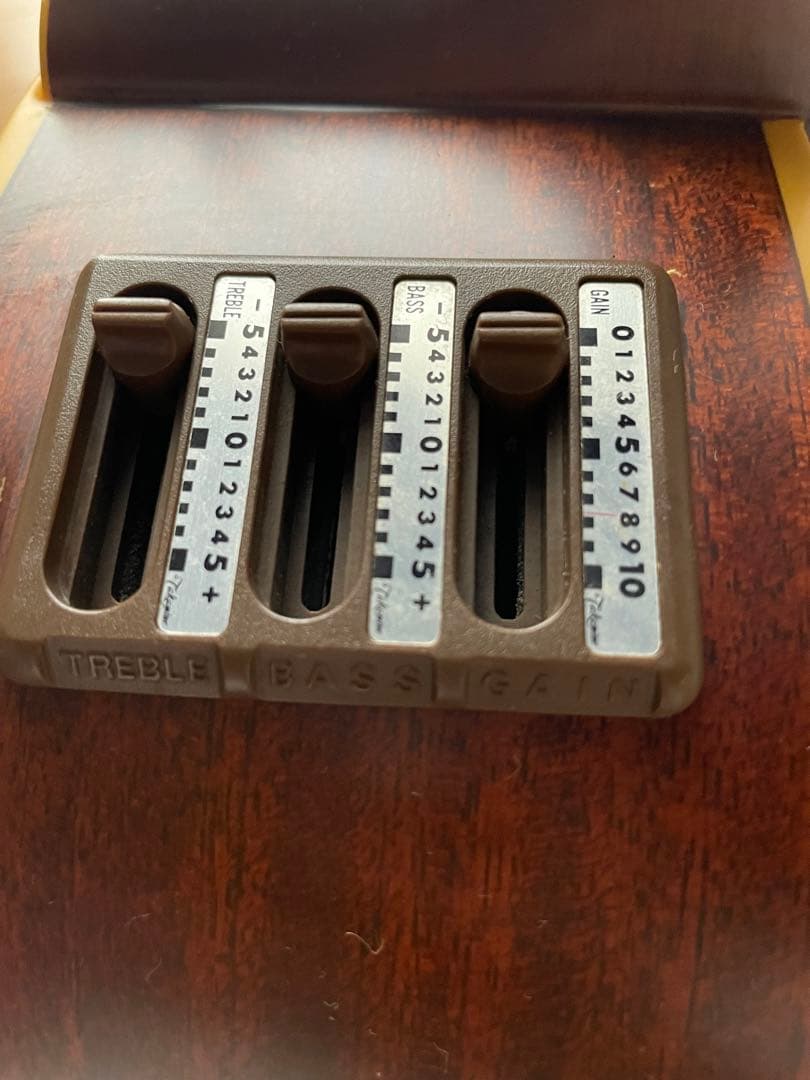 S*X様 Takamine EN-30C エレアコ