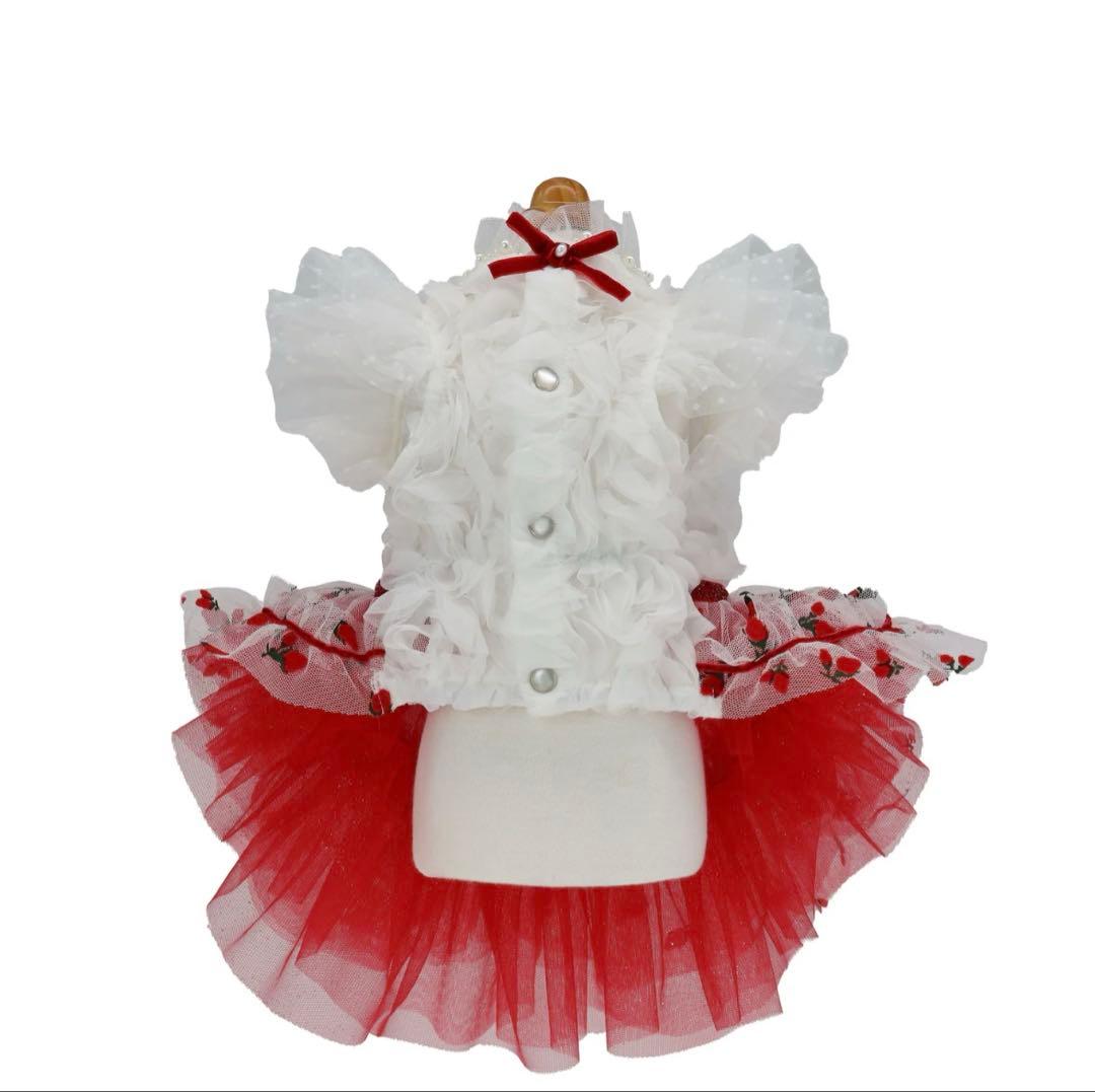 リュクスバーディ　ルージュワンピース バレッタセット