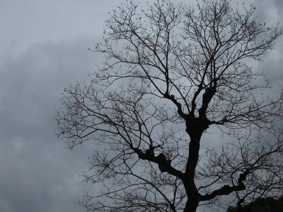 キヤノン PowerShot S120（動作可・ジャンク）