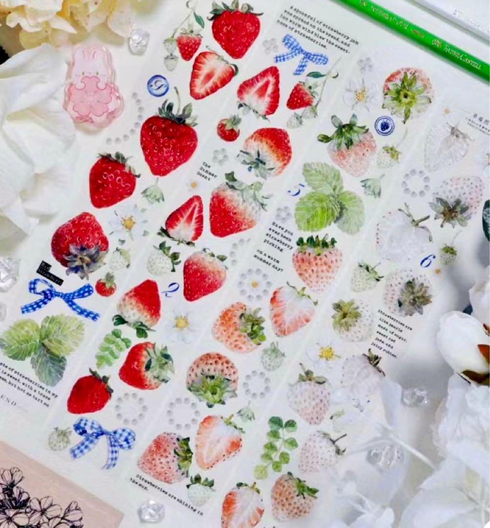 【K206】海外PETマスキングテープ　マステ切り売り イチゴ　苺