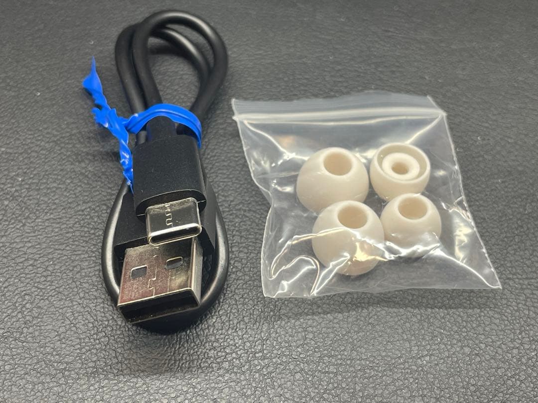 AVIOT TE-D01v-SOW HEROINEモデル ワイヤレスイヤフォン