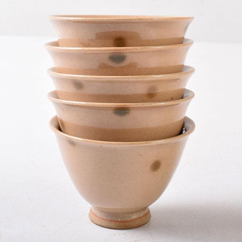 煎茶道具　虫明焼　煎茶器　5客　時代箱　V　8257