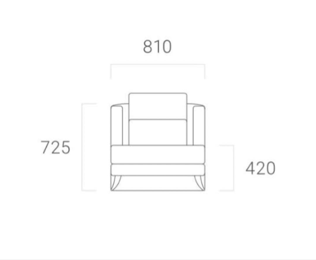 【ARMONIA】Bella curva 1人掛けソファ クッション付き