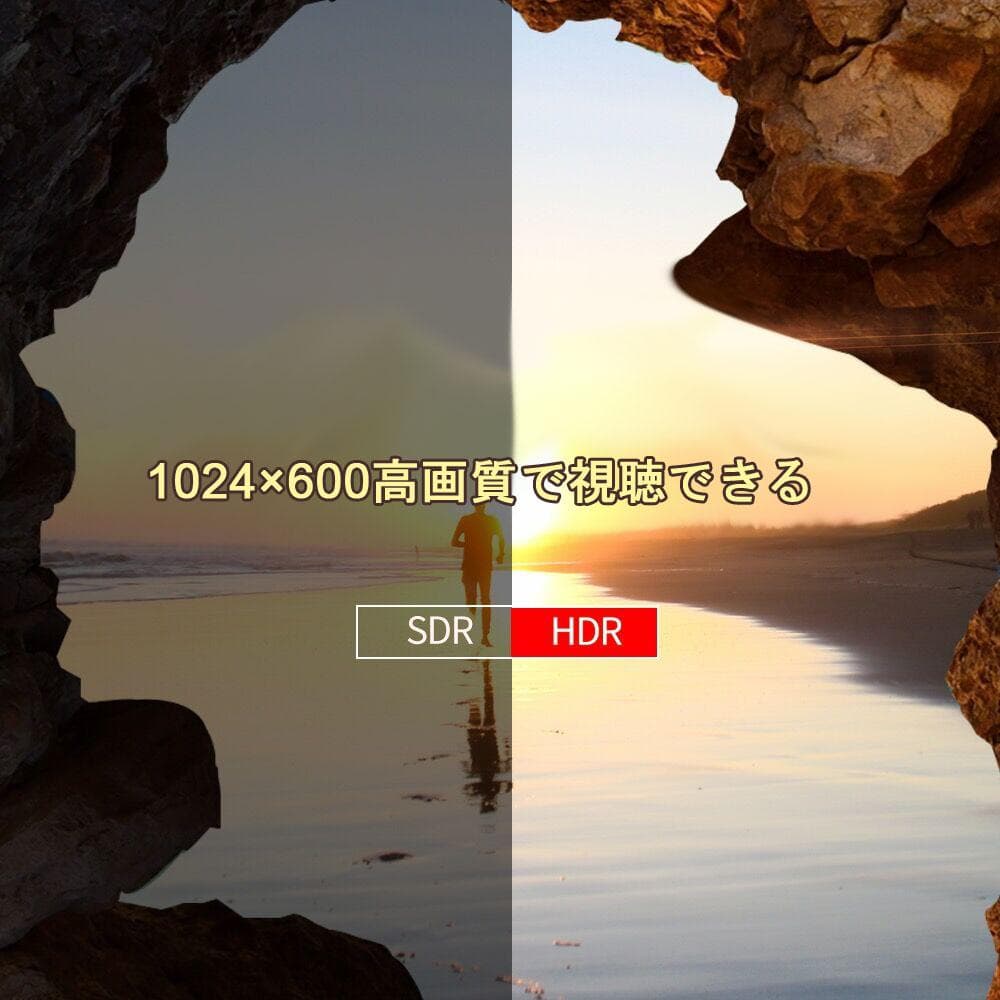 INTENAVI 12.6型 DVDポータブル CPRM対応 リージョンフリー