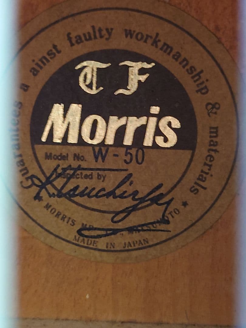 ナルト ギター Morris W-50 TF﻿