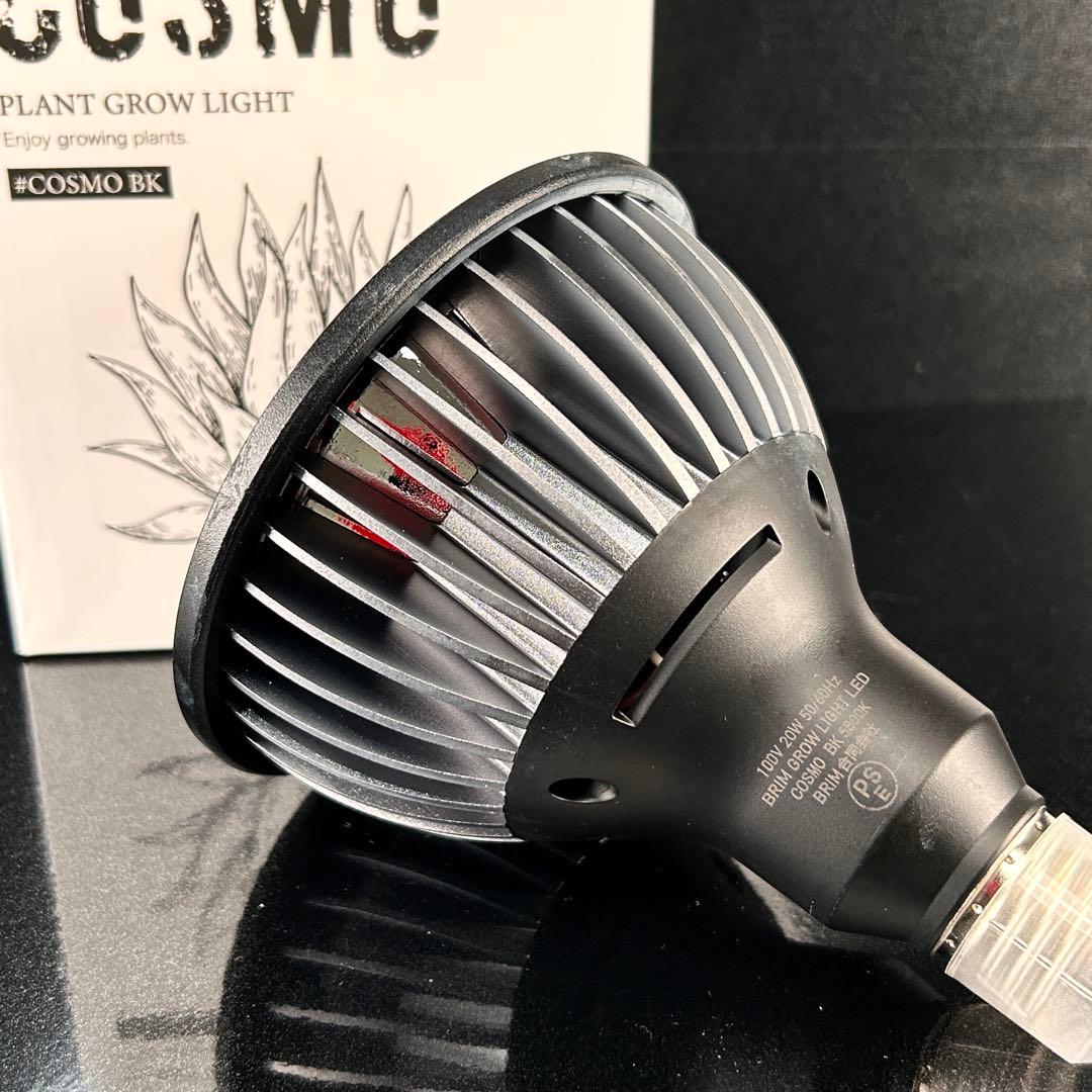 ハク•*¨*•.¸♬︎ BRIM COSMO ※2点セット