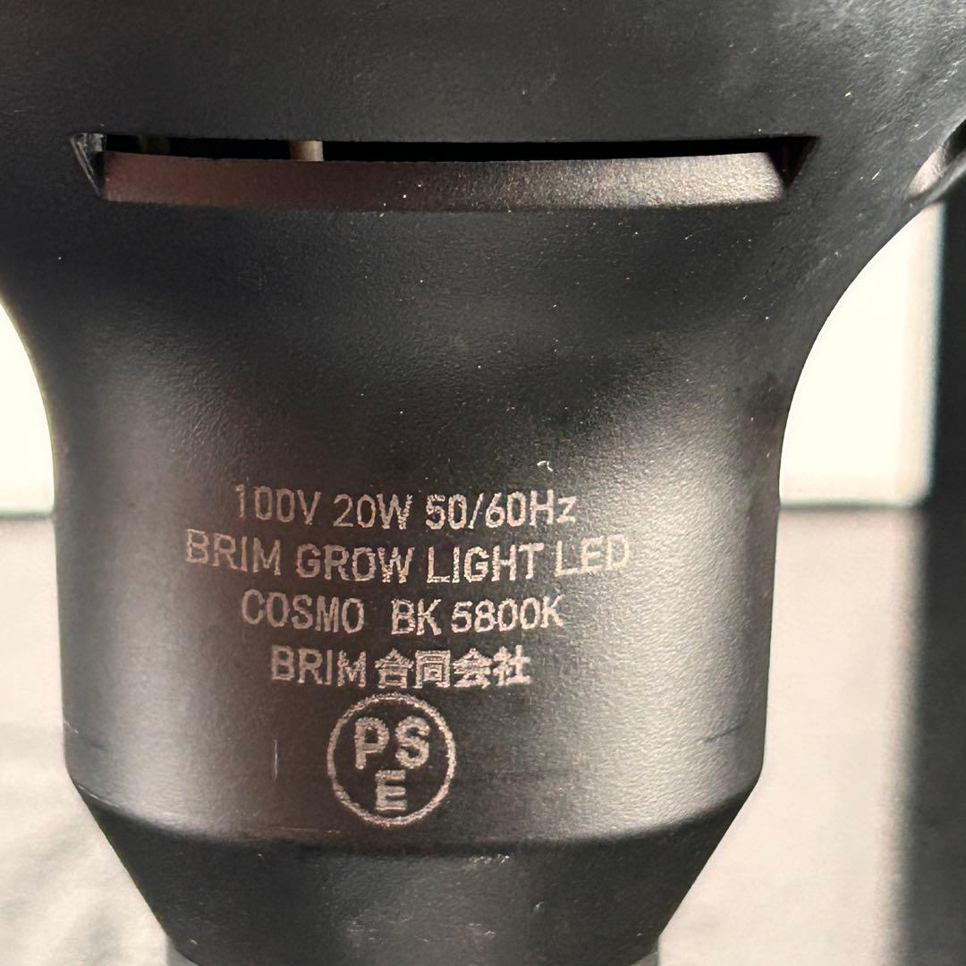 ハク•*¨*•.¸♬︎ BRIM COSMO ※2点セット