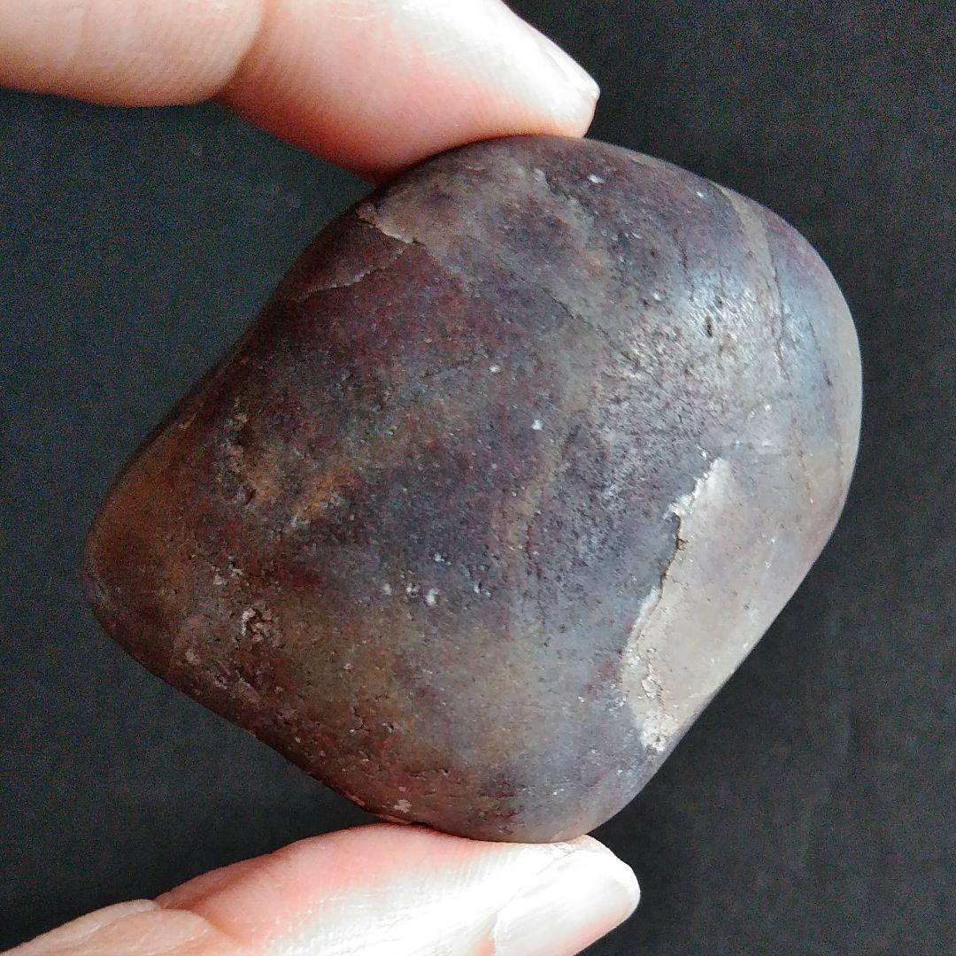 恐竜　化石　標本　胃石　ジュラ紀　52mm