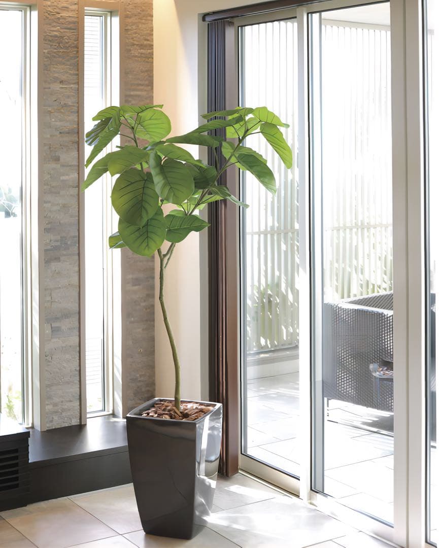 光触媒　人工観葉植物　フェイクグリーン　フレッシュアーバンウンベラータ1.8