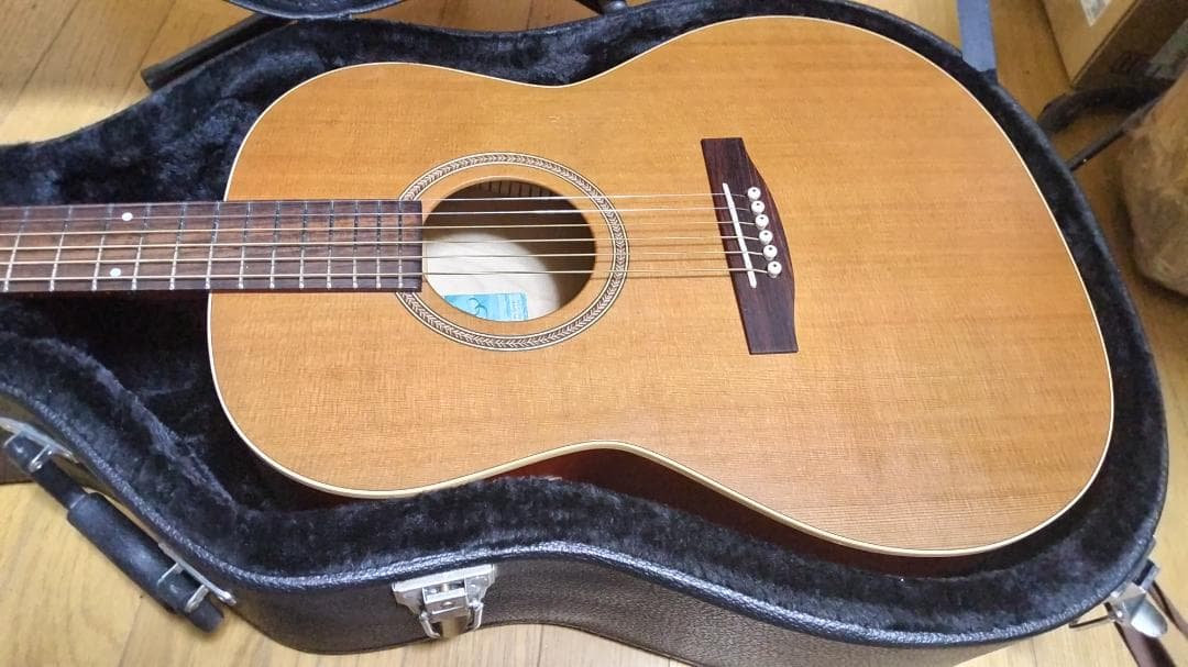 ❤️弦高調整済「シーガル S6+FOLK MEQ エレアコ 」＋ケース　指弾き良