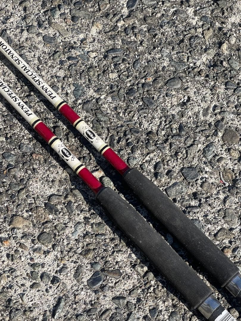 PENN SPECIAL SENATOR®