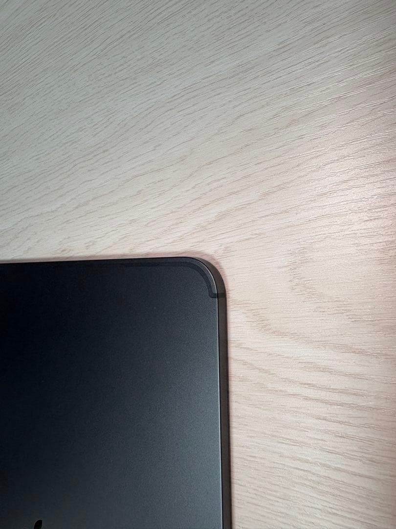 Apple iPad Pro M4 13インチ セルラー　256GB 100%