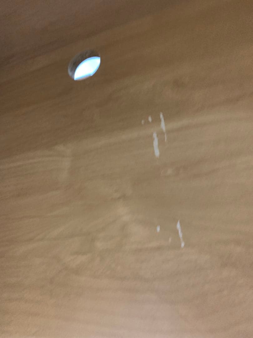 ２月末までアルダー天然木 アールデザインデスクシリーズ デスク・幅120.5cm