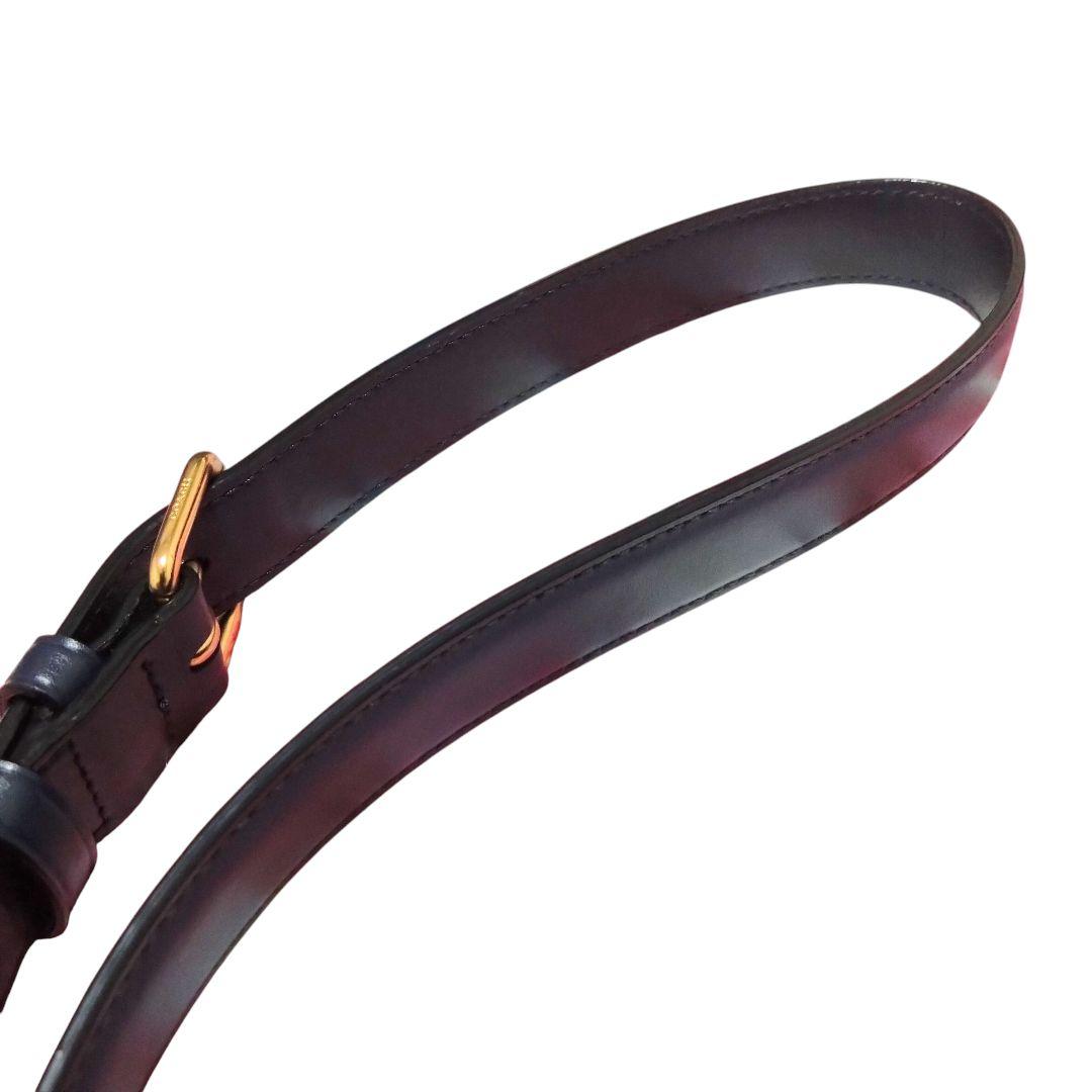 極美品 コーチ 2way ネイビー ショルダーバッグ クリオ23 C5688