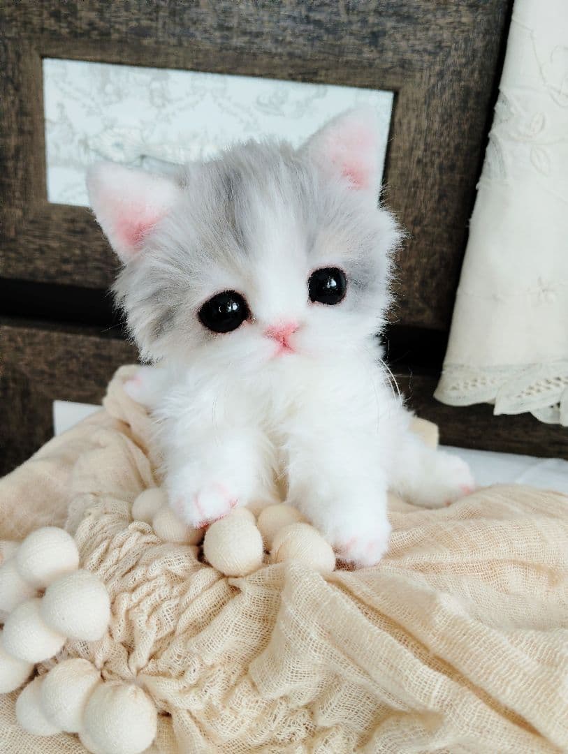 幼猫♡生後２週間♡よちよち期♡子猫の杏ちゃん♡アートドール♡ぬいぐるみ♡