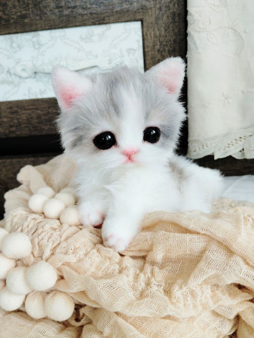 幼猫♡生後２週間♡よちよち期♡子猫の杏ちゃん♡アートドール♡ぬいぐるみ♡