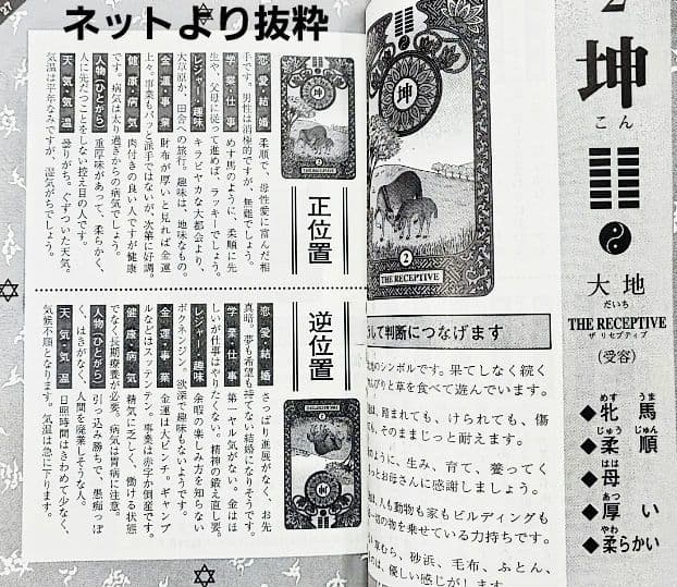 未来の扉を開く 易占タロット イーチンタロット高井紅鳳