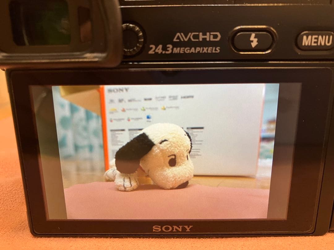 SONY ソニー α6000 ダブルレンズキット ブラック