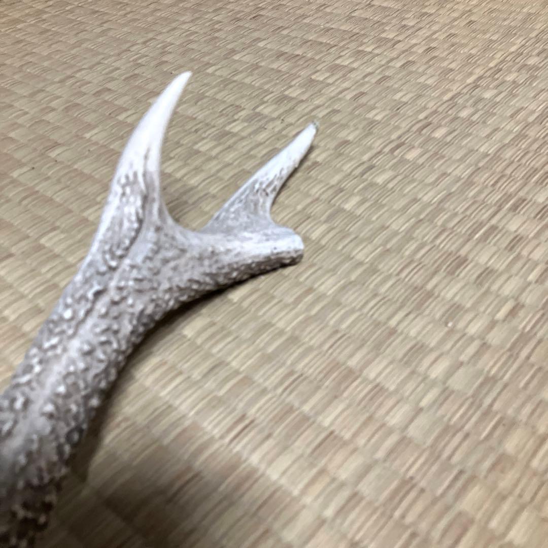 鹿の角　スカル　シカのツノ