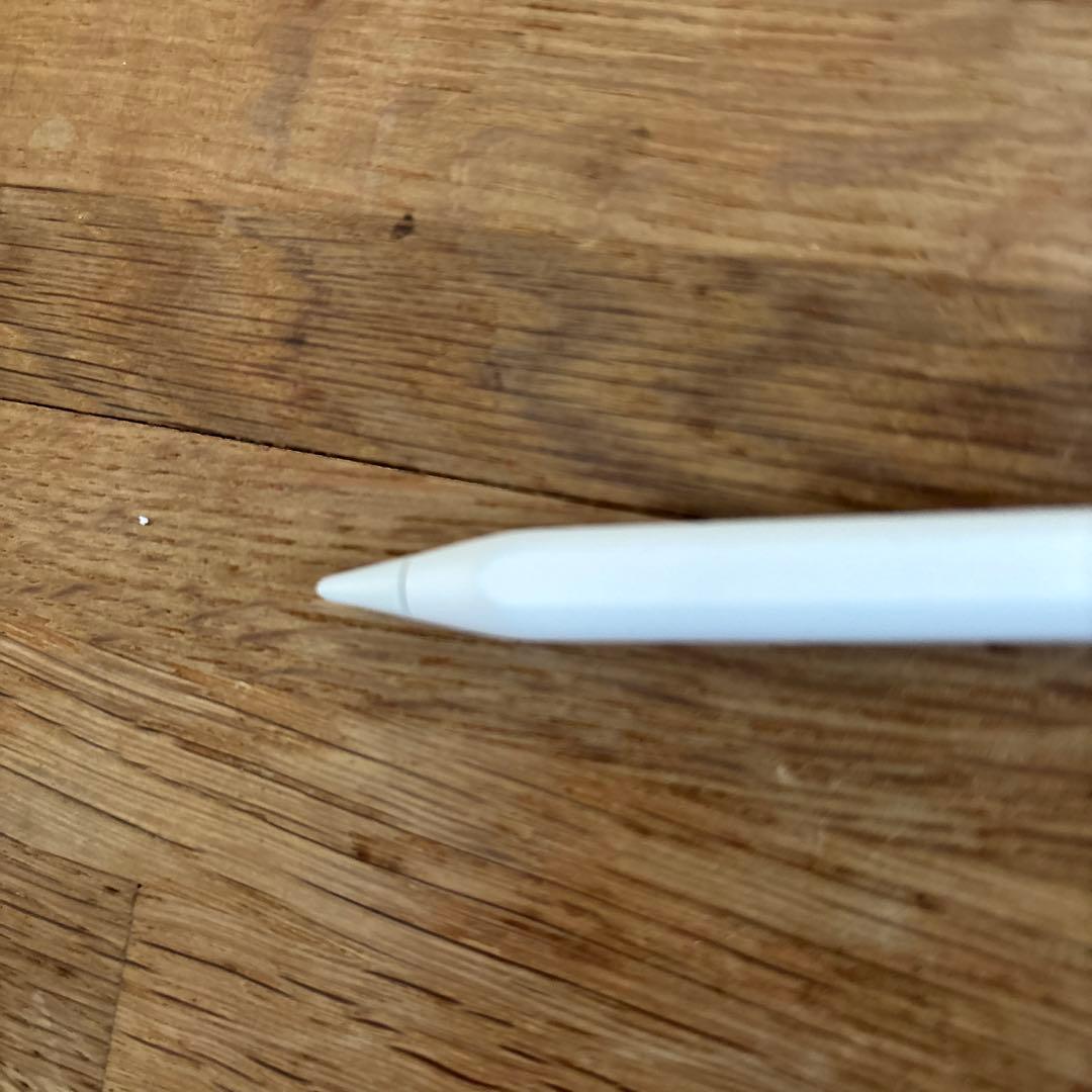 純正　Apple Pencil 第2世代とPencil Tips セット