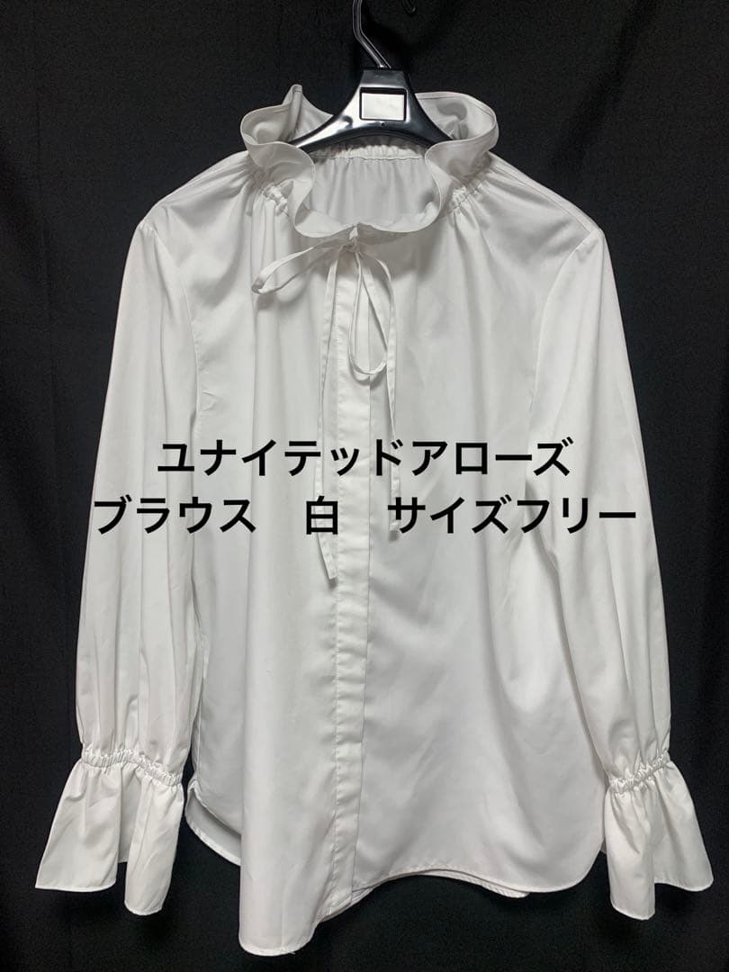 ユナイテッドアローズ　フリルカラー フレアスリーブブラウス　フリーサイズ