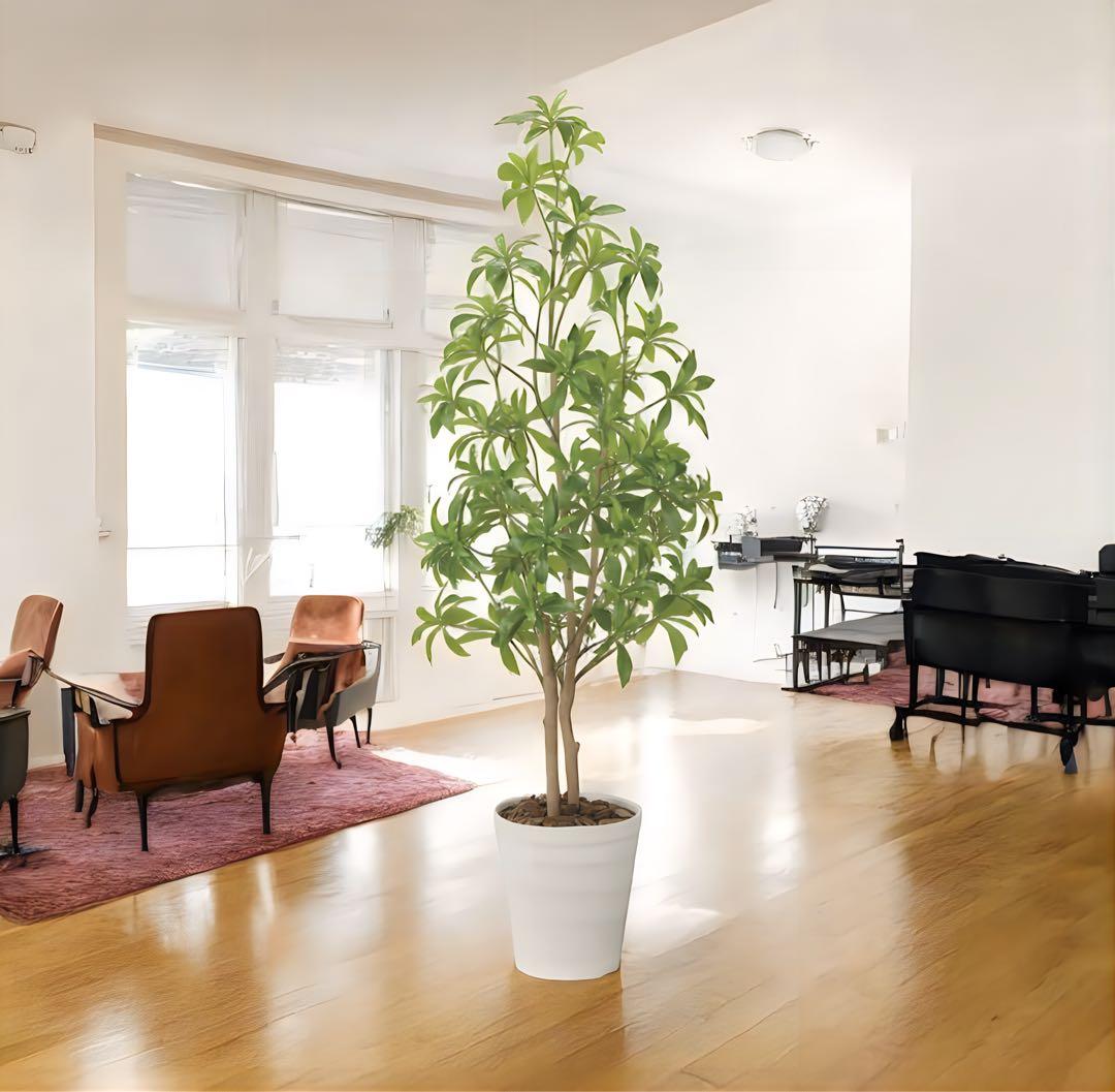 光触媒　観葉植物　ウォールグリーン　フェイクグリーン　フレッシュアセビ1.35