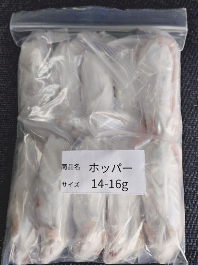 QMWS　送料無料 冷凍マウスリタイア50匹　ホッパー30匹
