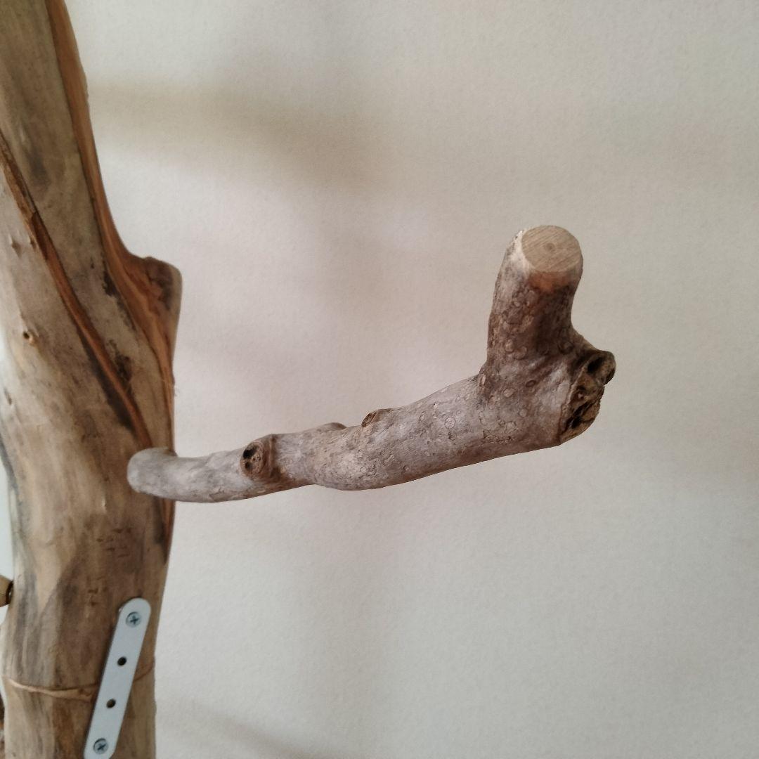 ocean バードアスレチックジム 天然木 自然木 流木 止まり木 インコ