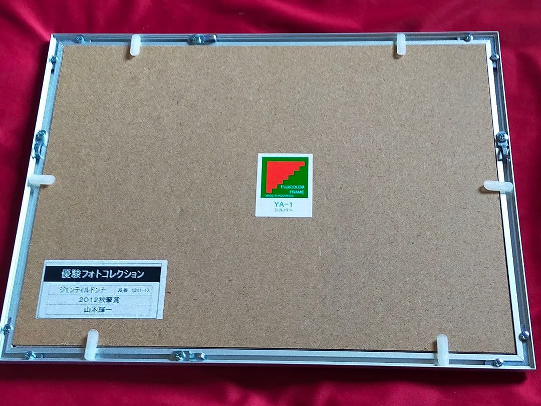 ◆　競馬　JRA　◆　ジェンティルドンナ　◆　３冠目　秋華賞　◆　フォト　◆