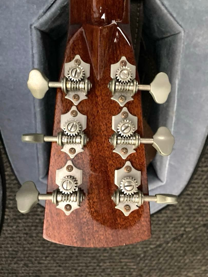 超レア、ヴィンテージギター ブルーリッジの限定モデル「BR-2060」価値有り‼️