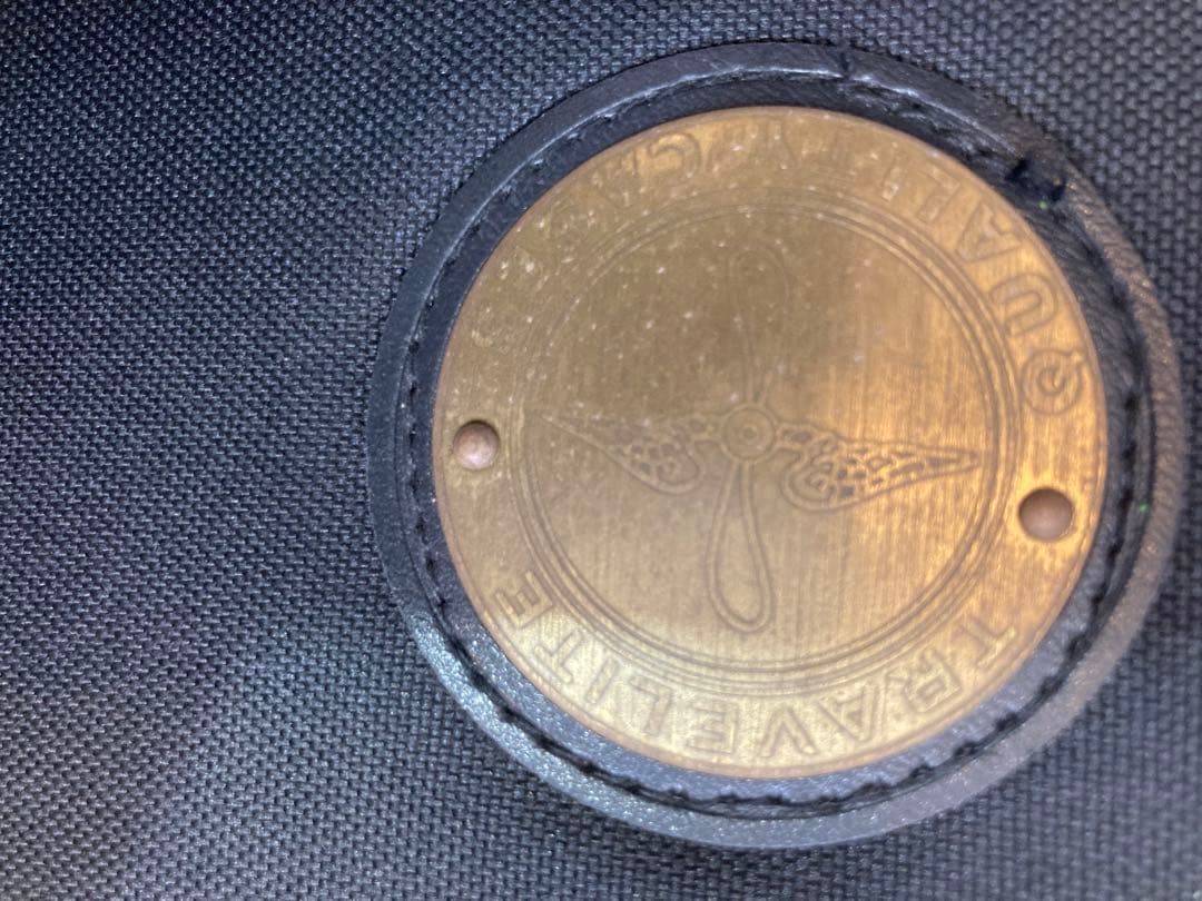 超レア、ヴィンテージギター ブルーリッジの限定モデル「BR-2060」価値有り‼️