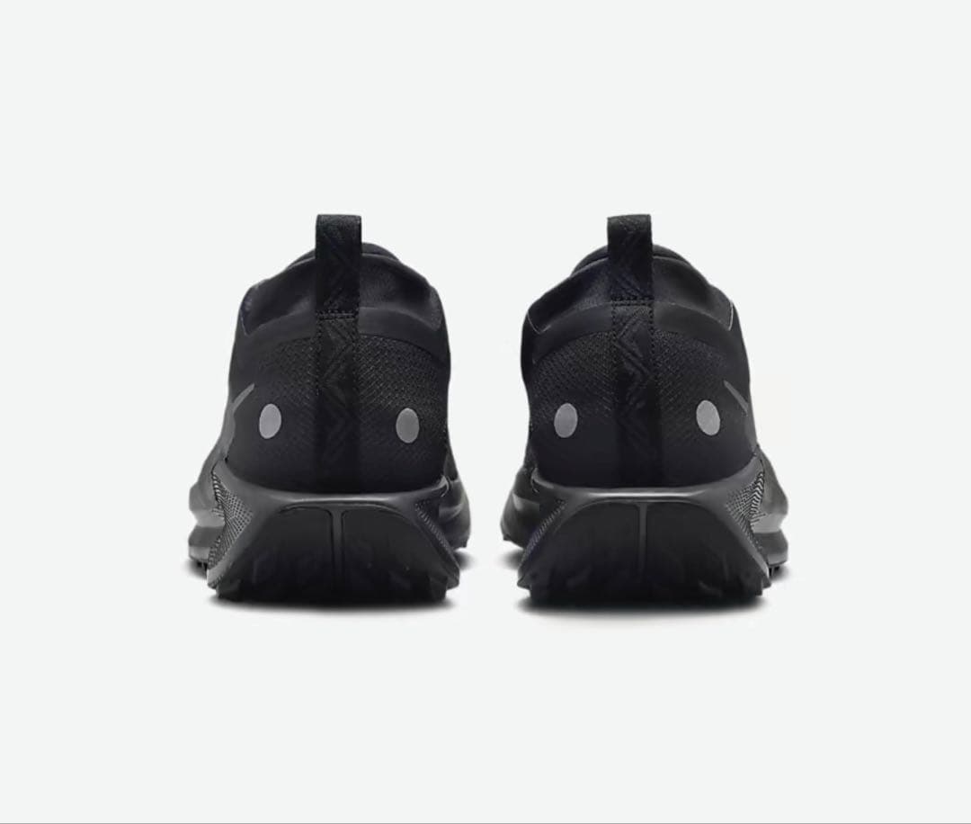 ナイキ ペガサス トレイル 5 GORE-TEX 27.5㎝