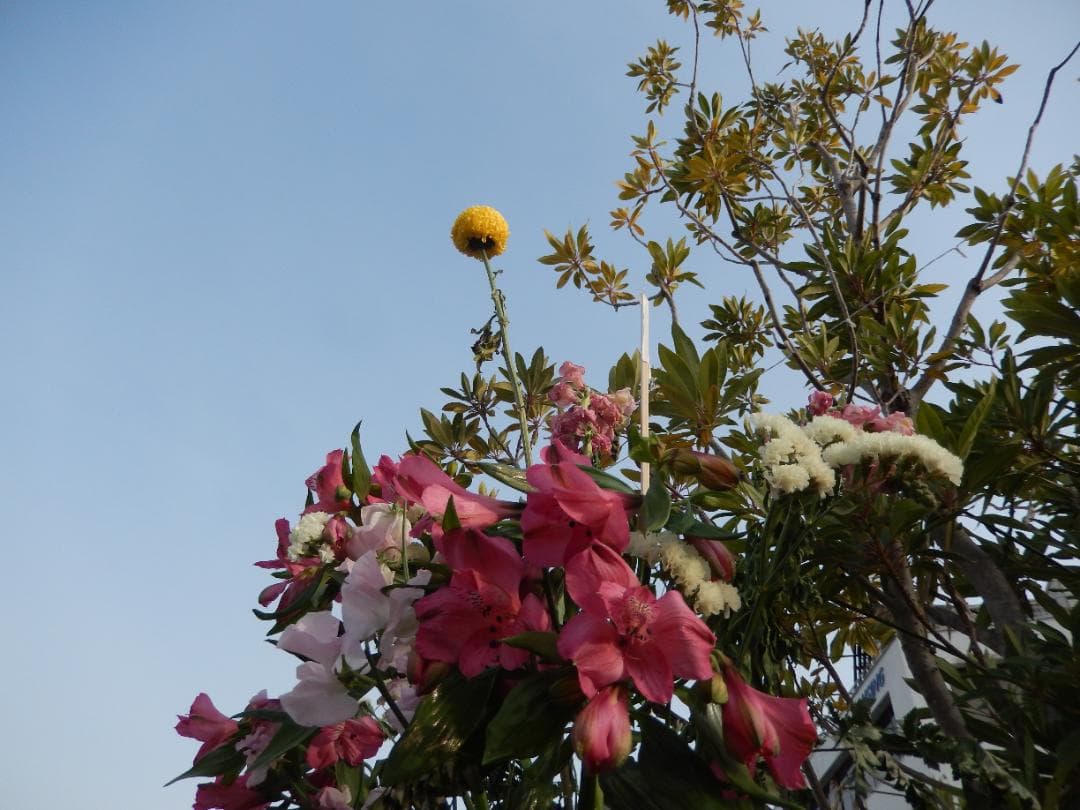 美品★FINEPIX Z300 デジタルカメラ コンデジ 富士フィルム 動作OK