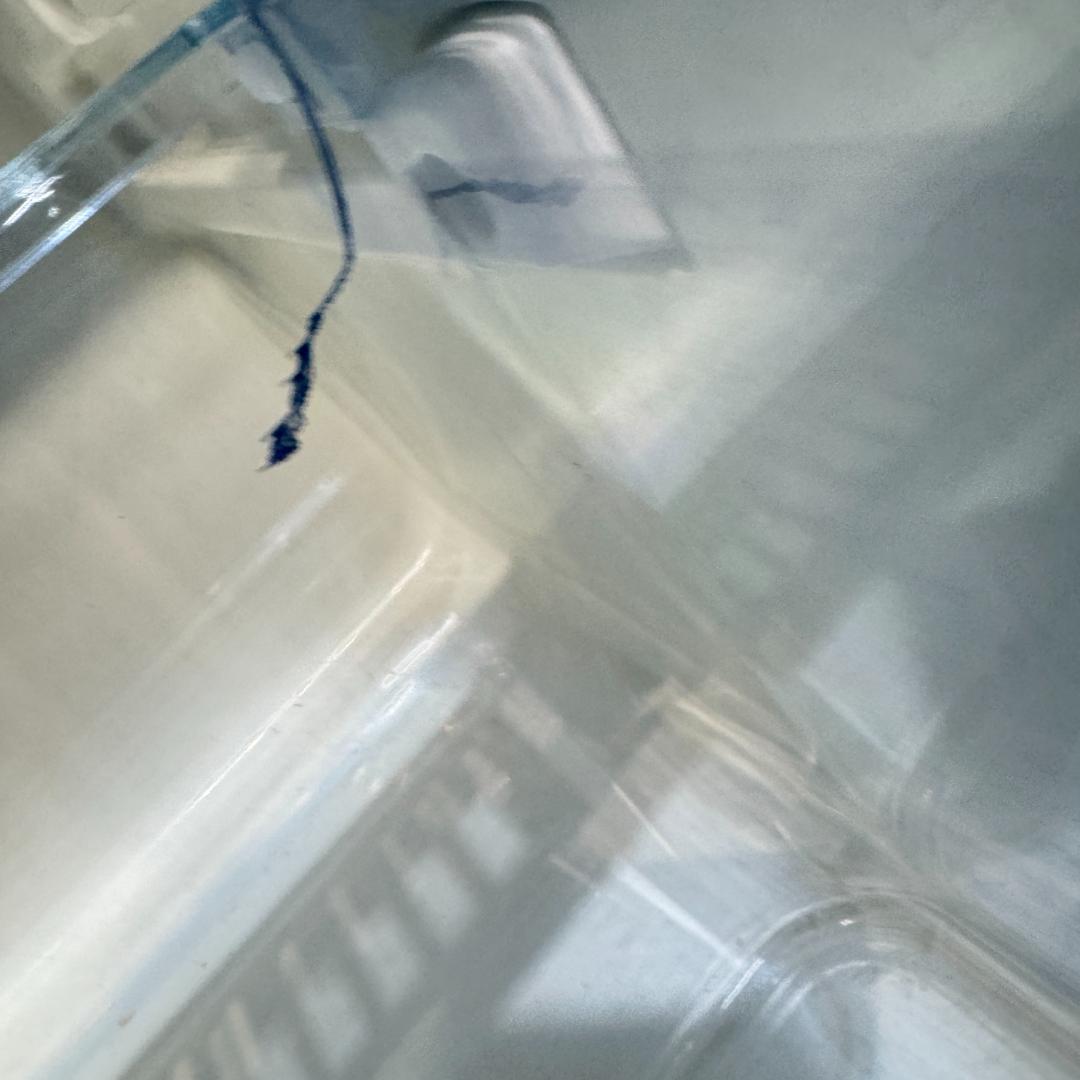 東京23区送料無料　ハイアール2ドア冷蔵冷凍庫　305L　大冷凍庫117L