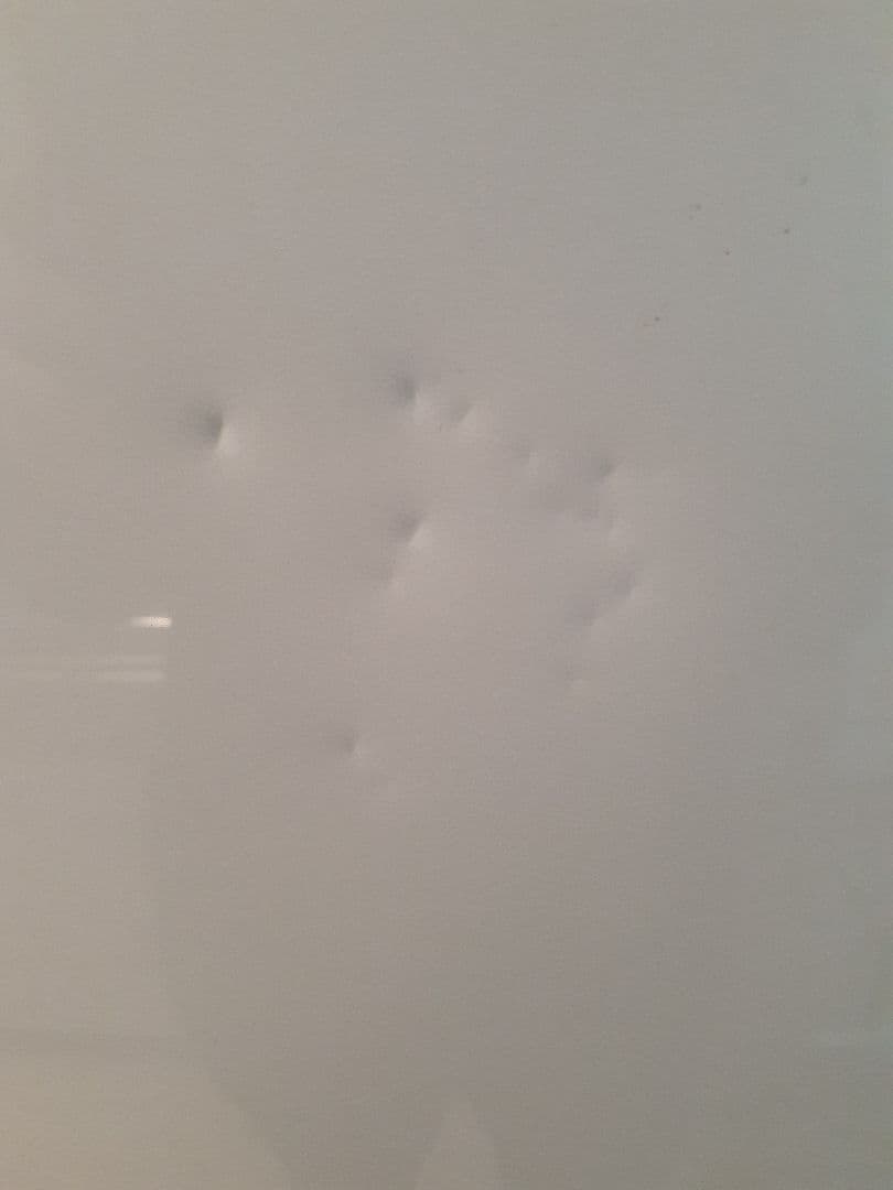 Panasonic 冷蔵庫 ホワイト501L