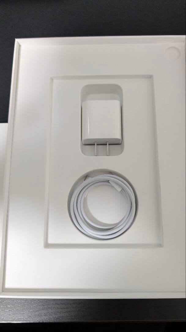 【極美品】iPad Air 第5世代256GB Wi-Fi + Cellular