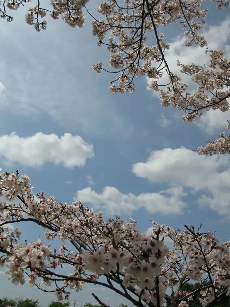 Canon PowerShot G9 コンパクトデジタルカメラ