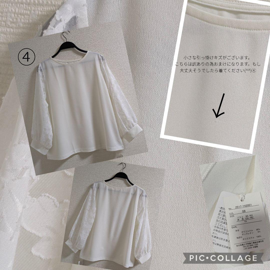 ゼラニウム　SALE LLサイズ中心　まとめ売り