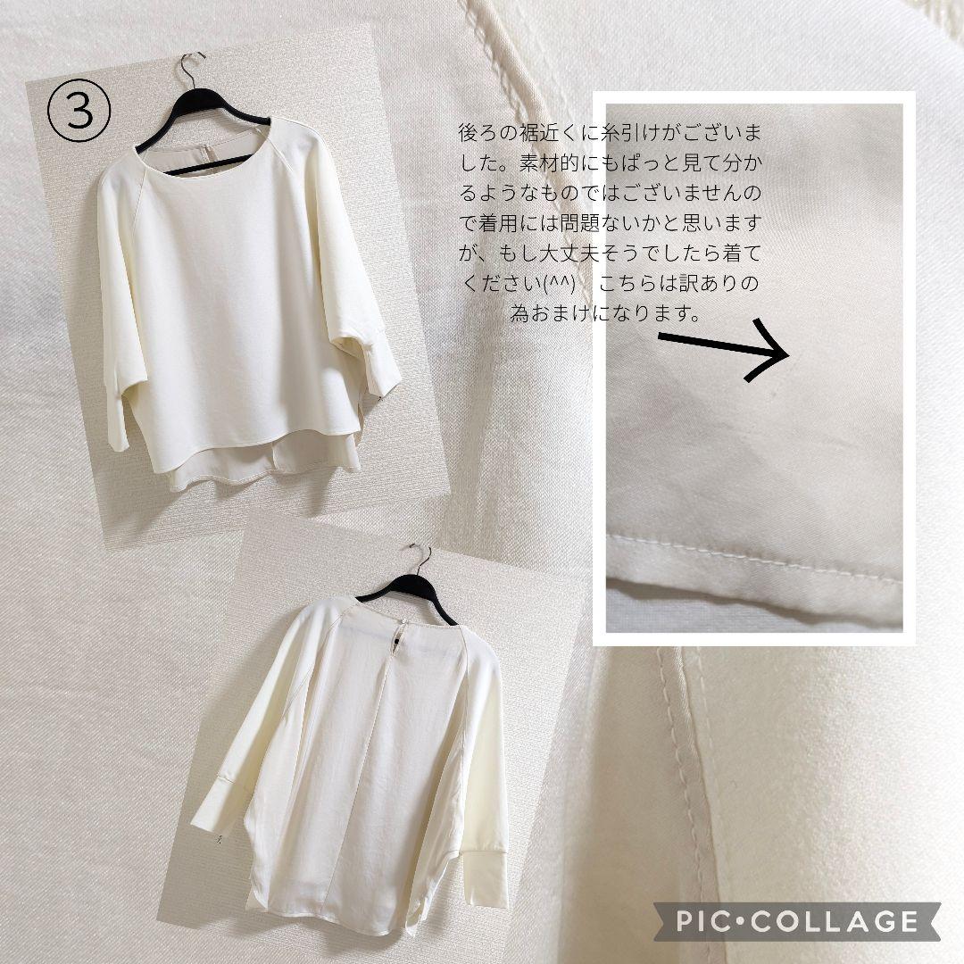 ゼラニウム　SALE LLサイズ中心　まとめ売り