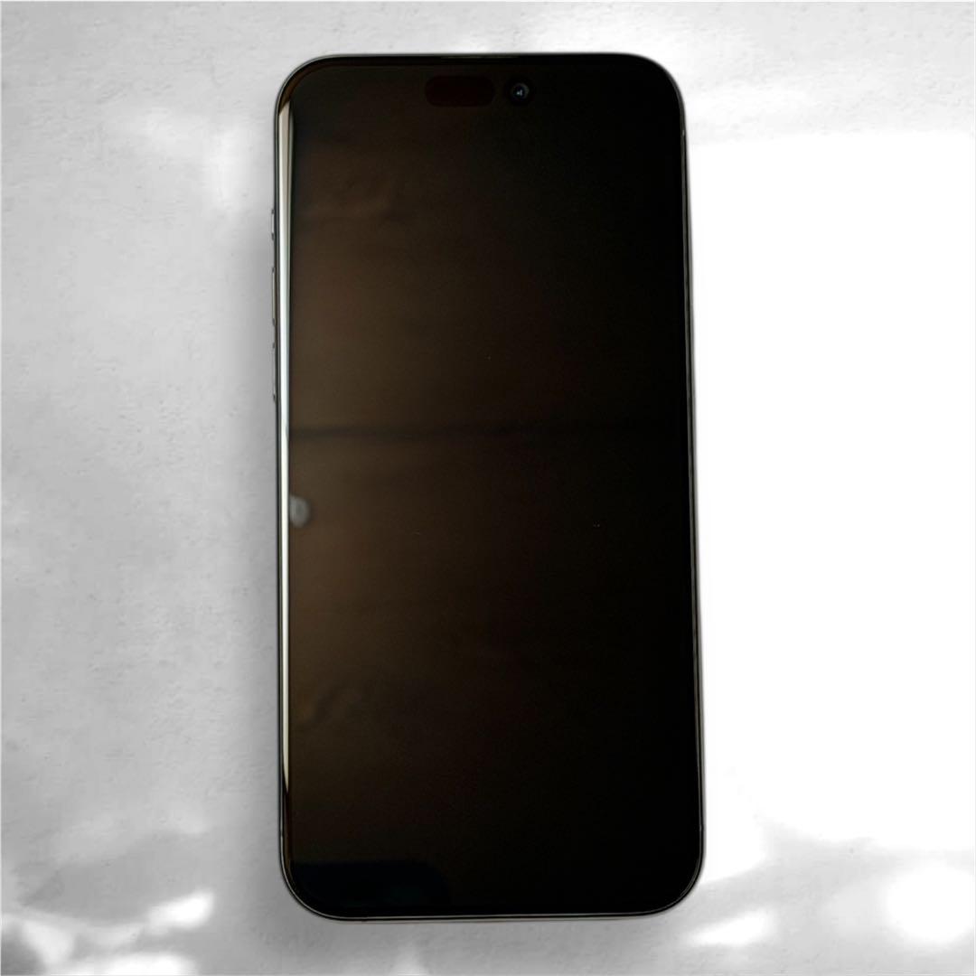 【極美品】iPhone 15 Pro Max 256GB　ブラックチタニウム