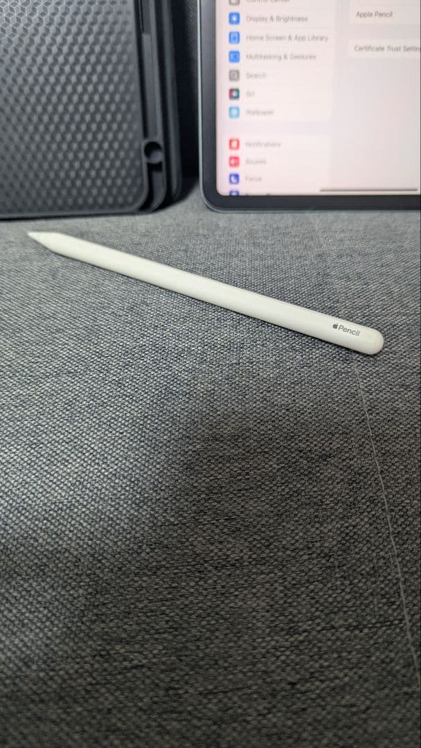 iPad Pro 11\" 第1世代 256 GB+ケース+Apple Pen