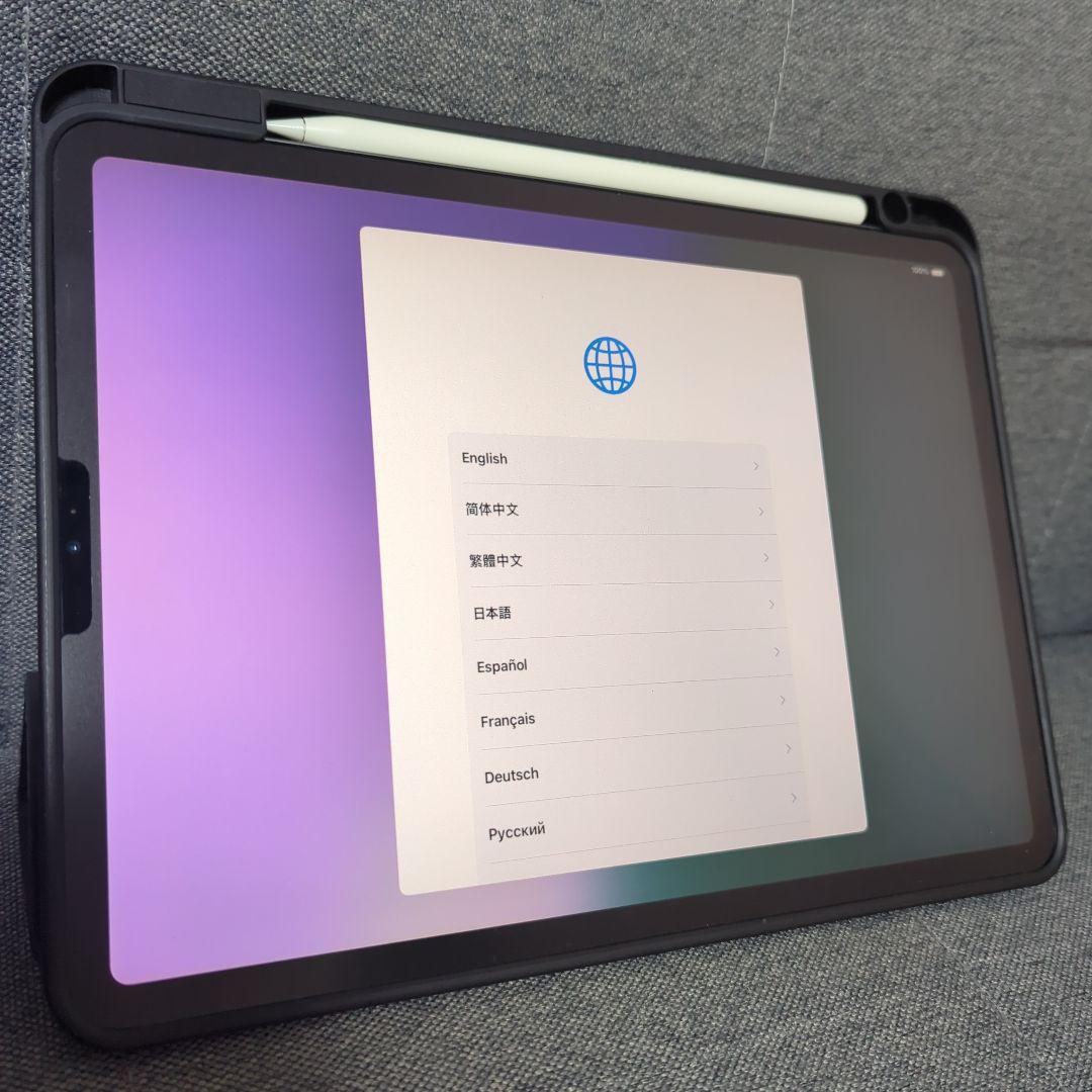 iPad Pro 11\" 第1世代 256 GB+ケース+Apple Pen