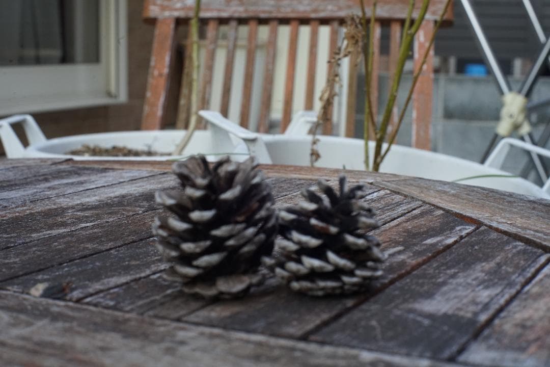 美品　OLYMPUS OM-SYSTEM G.ZUIKO 50 1.4