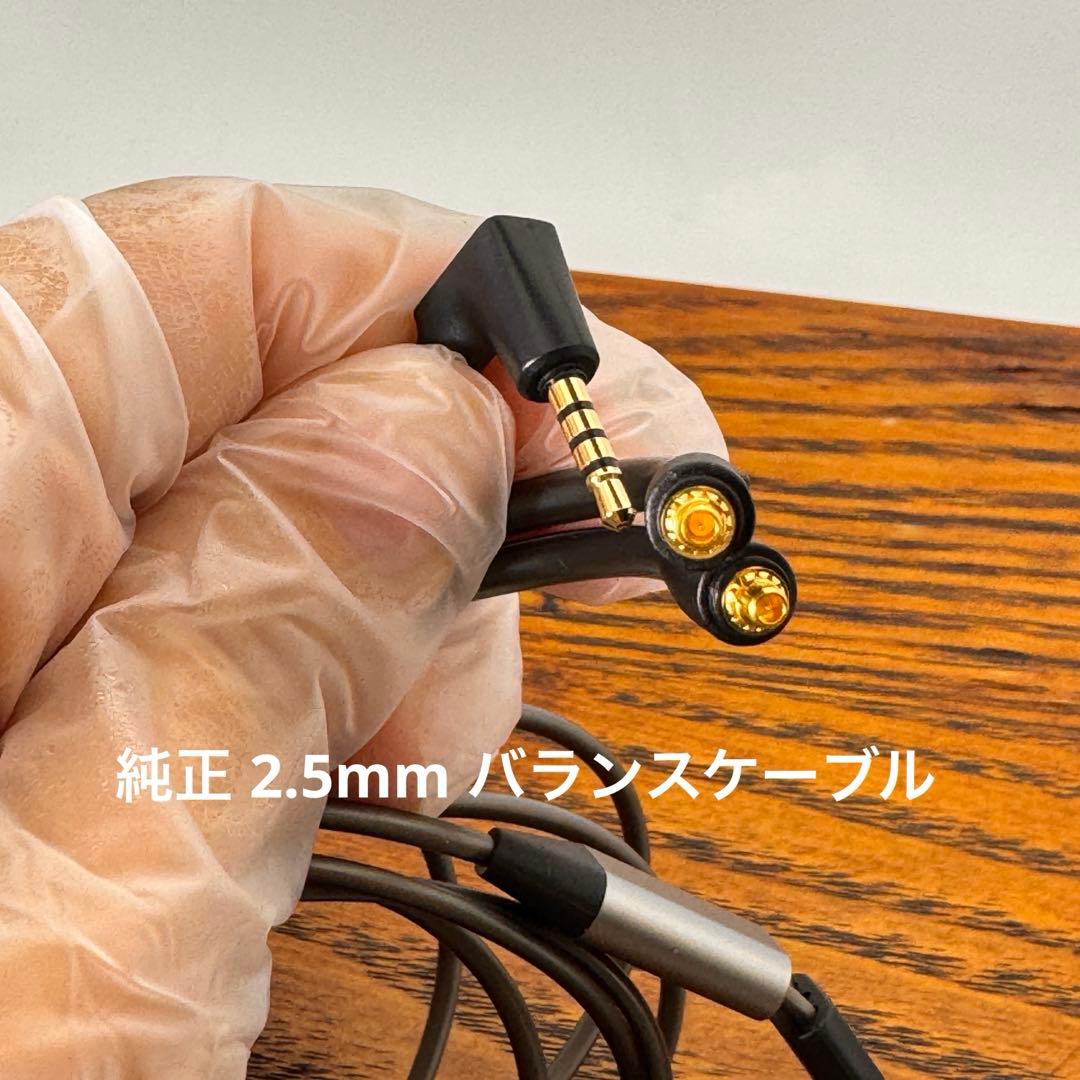 ゼンハイザー IE900 高級イヤホン 高音質 有線 純正品 2024 年製