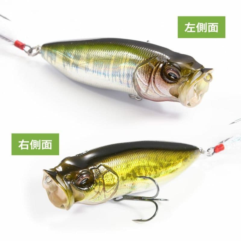 Megabass POP MAX 　ポップマックス