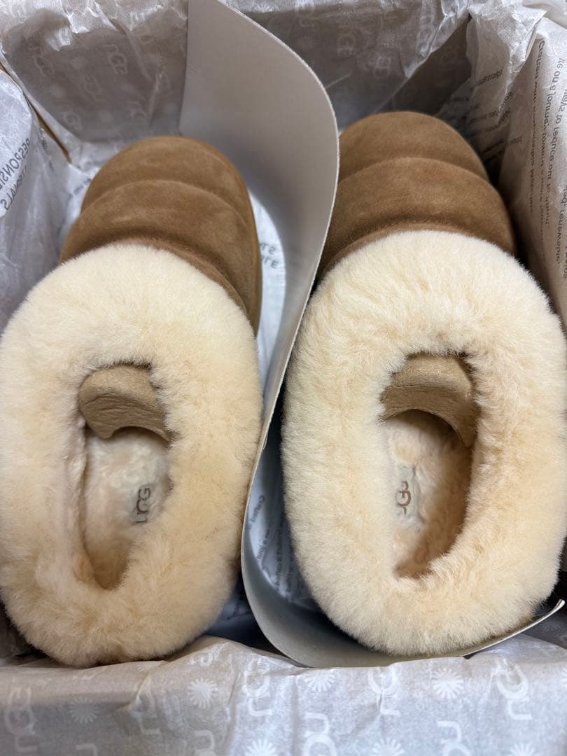 正規品　UGG Tazzlita ダズリータ　チェスナット　39 箱あり